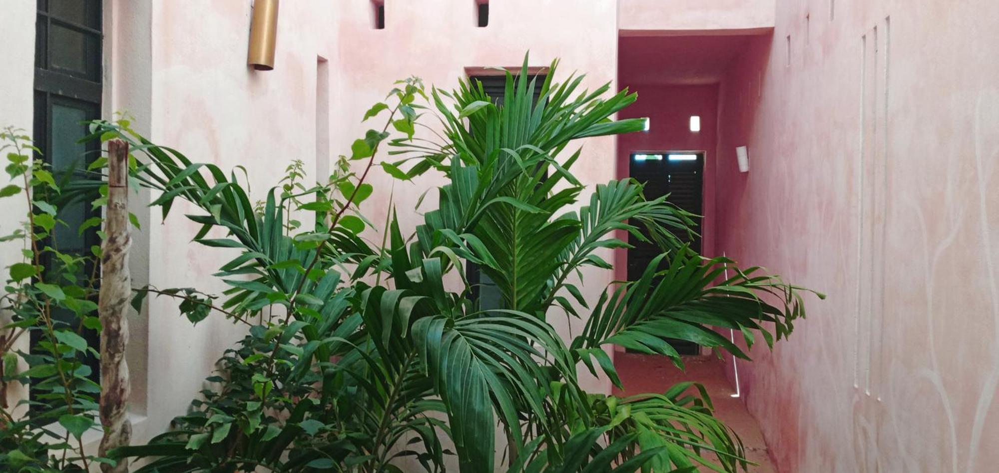 Cytyz Appart Hotel 马哈赞加 外观 照片
